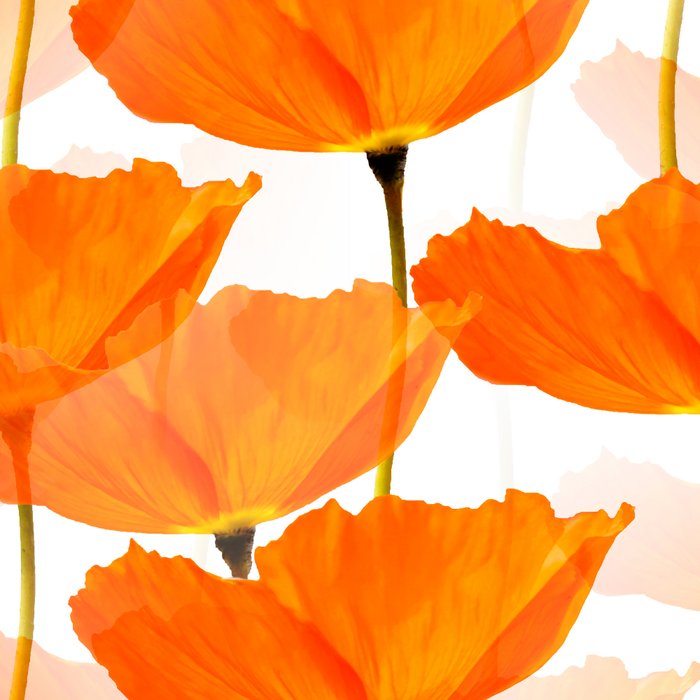 Orange Poppies On A White Background #decor #society6 #buyart Coffee Mug Gallery Image 2