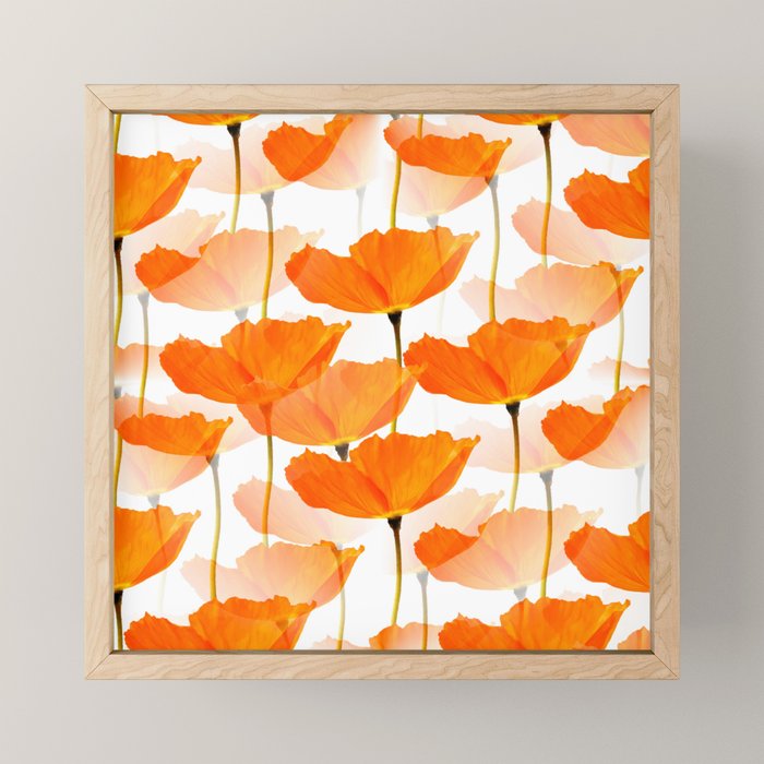 Orange Poppies On A White Background #decor #society6 #buyart Mini Art Print Gallery Image 1