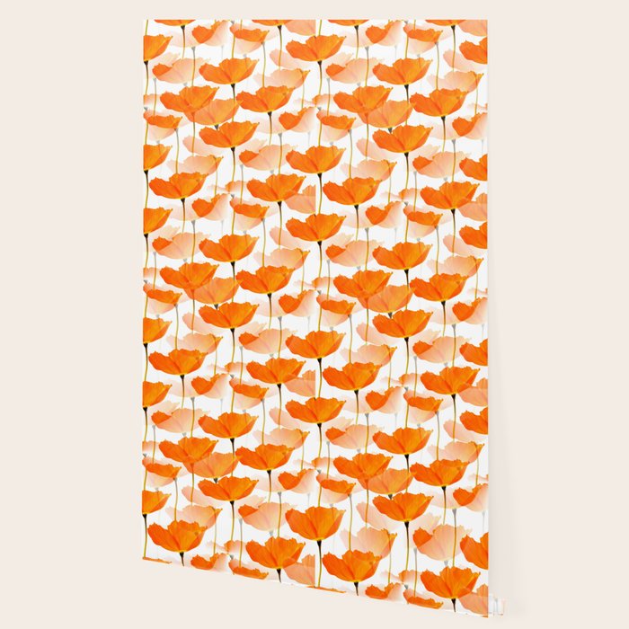 Orange Poppies On A White Background #decor #society6 #buyart Wallpaper Gallery Image 2