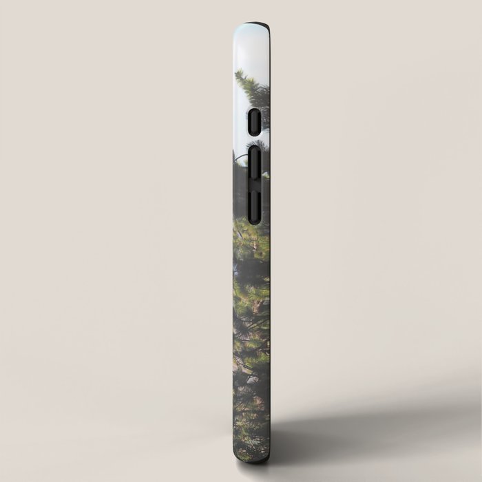 Mountain to Valley iPhone Case Gallery Image 2