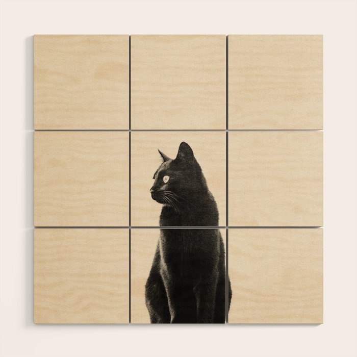 Black Cat Wood Wall Art Gallery Image 1