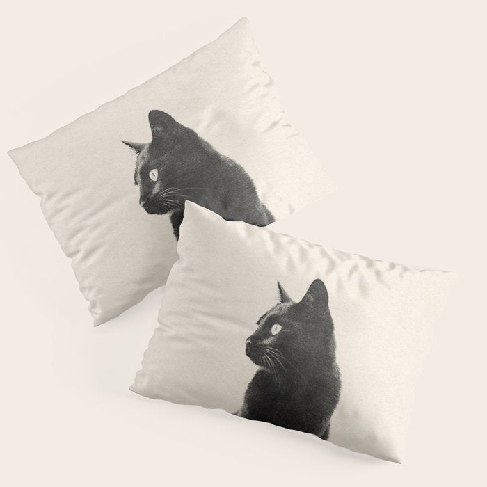 Black Cat Pillow Sham Gallery Image 3