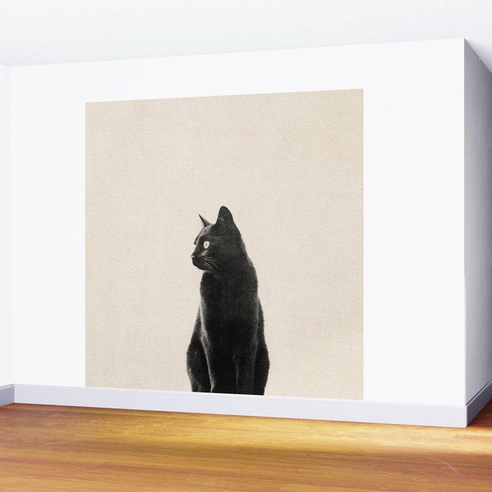 Black Cat Wall Mural Gallery Image 2
