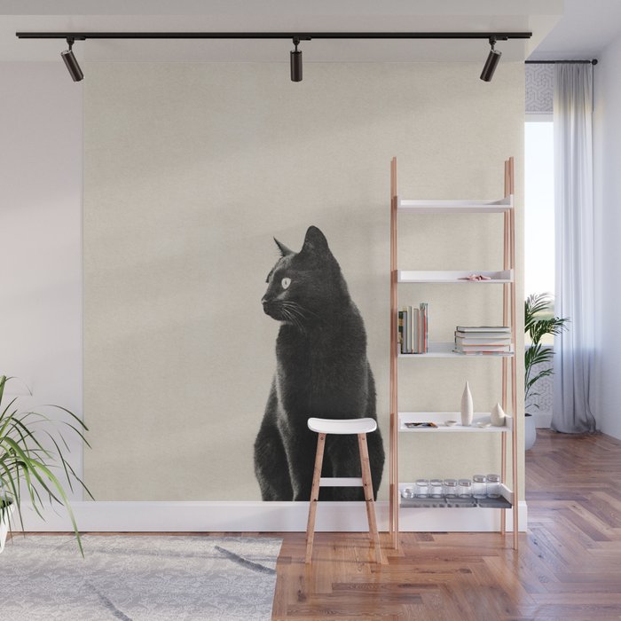 Black Cat Wall Mural Gallery Image 1