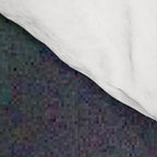 Earth as a Pale Blue Dot photographed by Voyager 1 Comforter Gallery Image 4