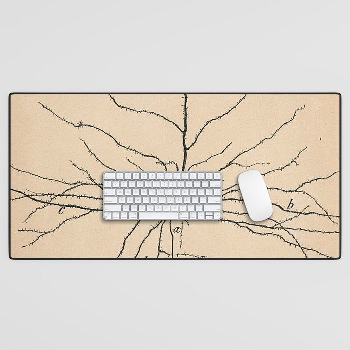 Santiago Ramon y Cajal Pyramida Neuron Drawing 1904 Desk Mat Gallery Image 1