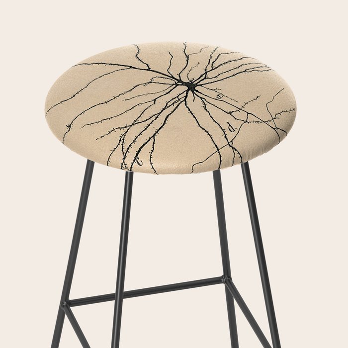 Santiago Ramon y Cajal Pyramida Neuron Drawing 1904 Stool Gallery Image 2