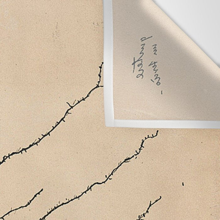 Santiago Ramon y Cajal Pyramida Neuron Drawing 1904 Wall Tapestry Gallery Image 3