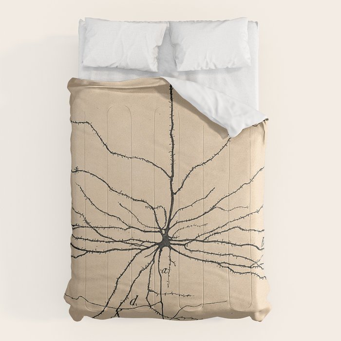 Santiago Ramon y Cajal Pyramida Neuron Drawing 1904 Comforter Gallery Image 1