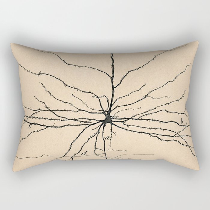 Santiago Ramon y Cajal Pyramida Neuron Drawing 1904 Rectangular Pillow Gallery Image 1