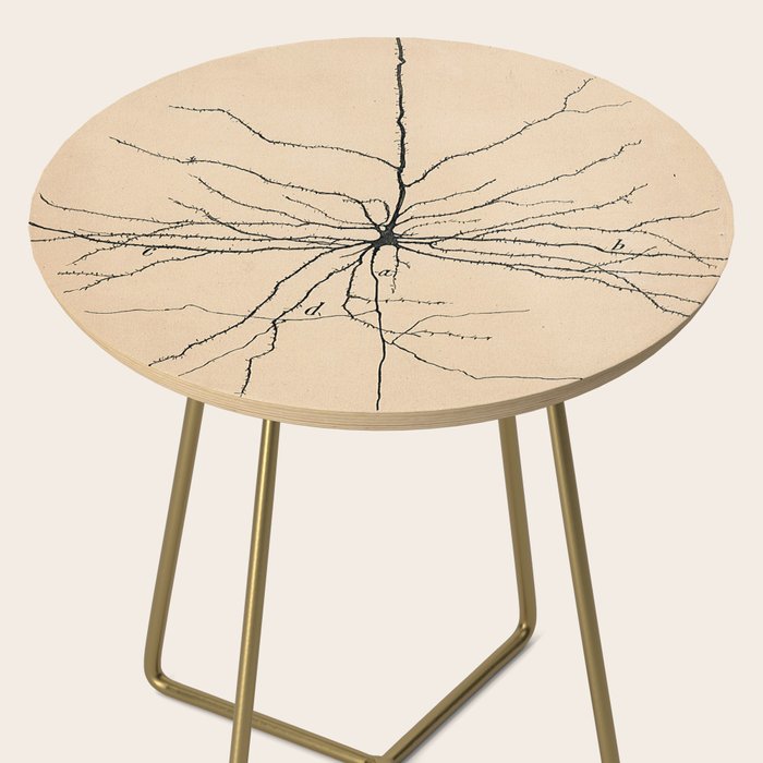 Santiago Ramon y Cajal Pyramida Neuron Drawing 1904 Side Table Gallery Image 2