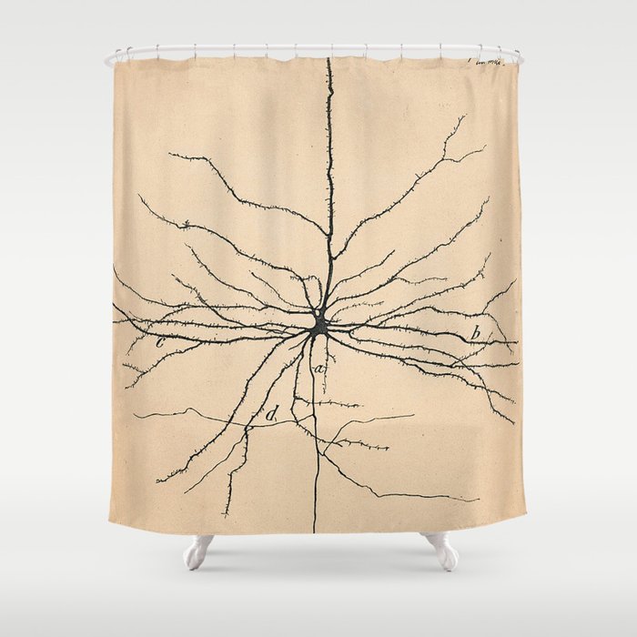 Santiago Ramon y Cajal Pyramida Neuron Drawing 1904 Shower Curtain Gallery Image 1