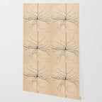 Santiago Ramon y Cajal Pyramida Neuron Drawing 1904 Wallpaper Gallery Image 2