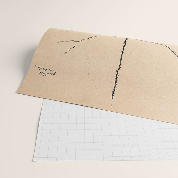 Santiago Ramon y Cajal Pyramida Neuron Drawing 1904 Wrapping Paper Gallery Image 2