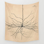 Santiago Ramon y Cajal Pyramida Neuron Drawing 1904 Wall Tapestry Gallery Image 4