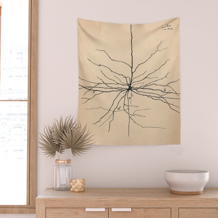 Santiago Ramon y Cajal Pyramida Neuron Drawing 1904 Wall Tapestry Gallery Image 2