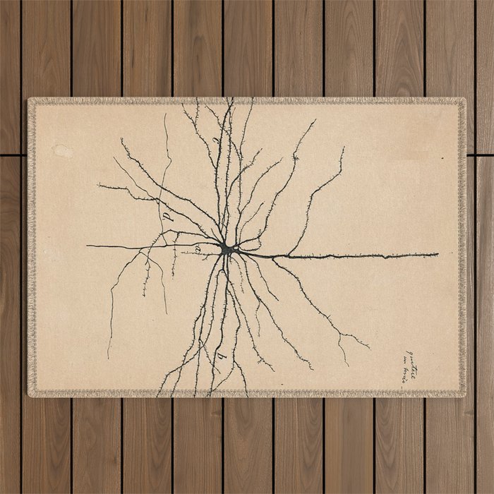 Santiago Ramon y Cajal Pyramida Neuron Drawing 1904 Outdoor Rug Gallery Image 1