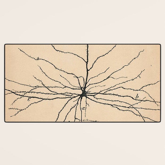 Santiago Ramon y Cajal Pyramida Neuron Drawing 1904 Desk Mat Gallery Image 3