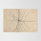 Santiago Ramon y Cajal Pyramida Neuron Drawing 1904 Rug Gallery Image 2