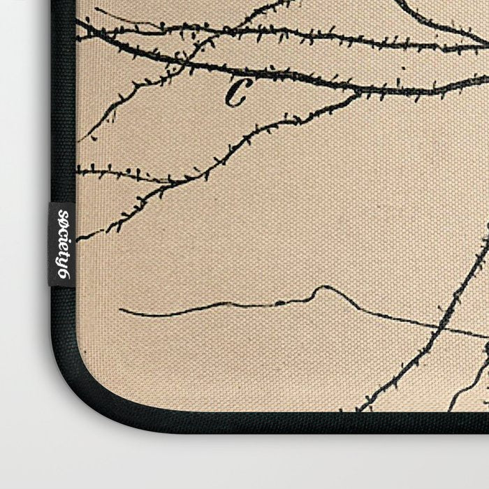 Santiago Ramon y Cajal Pyramida Neuron Drawing 1904 Laptop Sleeve Gallery Image 3
