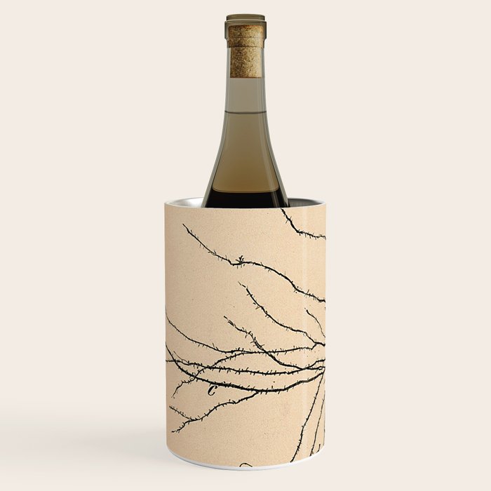 Santiago Ramon y Cajal Pyramida Neuron Drawing 1904 Wine Chiller Gallery Image 2