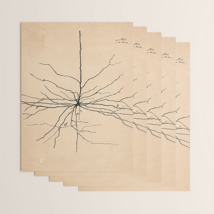 Santiago Ramon y Cajal Pyramida Neuron Drawing 1904 Wrapping Paper Gallery Image 3