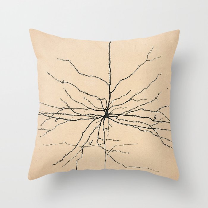 Santiago Ramon y Cajal Pyramida Neuron Drawing 1904 Throw Pillow Gallery Image 6