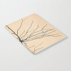 Santiago Ramon y Cajal Pyramida Neuron Drawing 1904 Notebook Gallery Image 2