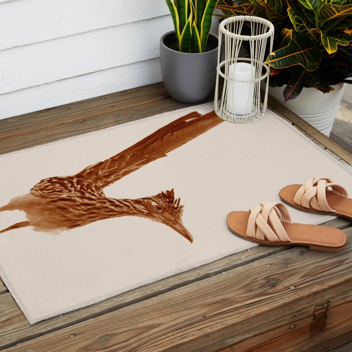 Monochrome - Roadrunner Outdoor Rug Gallery Image 2