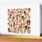 Weenies Peens Schlongs  Wall Mural Gallery Image 2