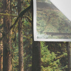 Woodland Landscape II Wall Tapestry Gallery Image 3