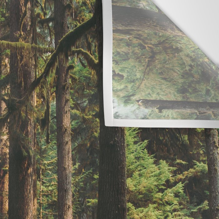 Woodland Landscape II Wall Tapestry Gallery Image 3