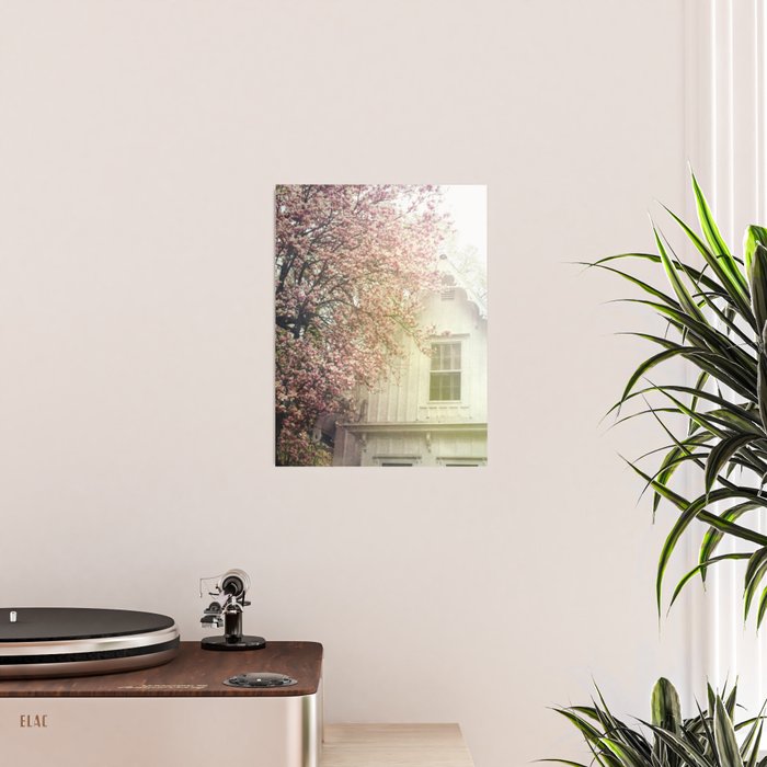 Cottage and Magnolias Poster Gallery Image 2