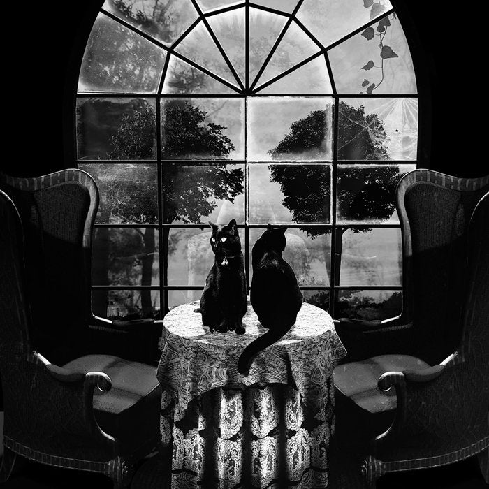 Room Skull B&W Coffee Mug Gallery Image 2