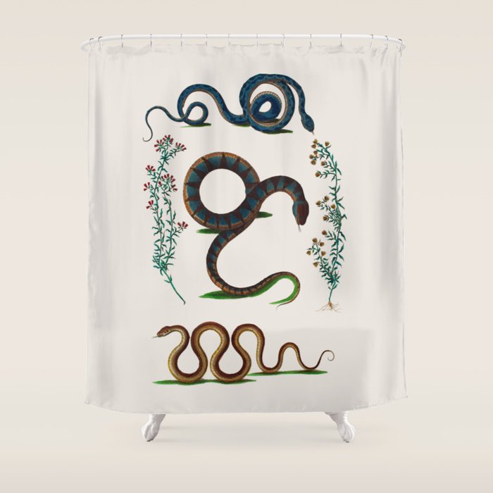 Albertus Seba Three Snakes And Floral Vines  Shower Curtain Gallery Image 1