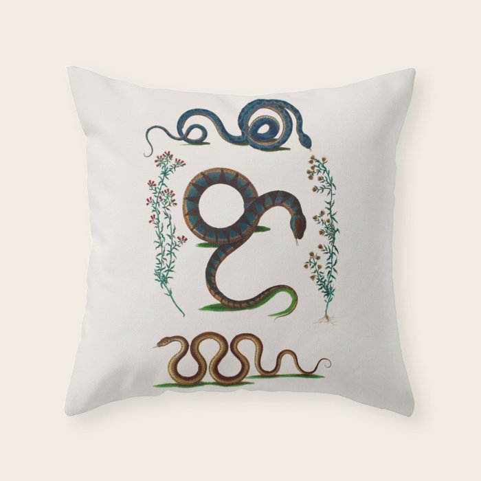 Albertus Seba Three Snakes And Floral Vines  Throw Pillow Gallery Image 6