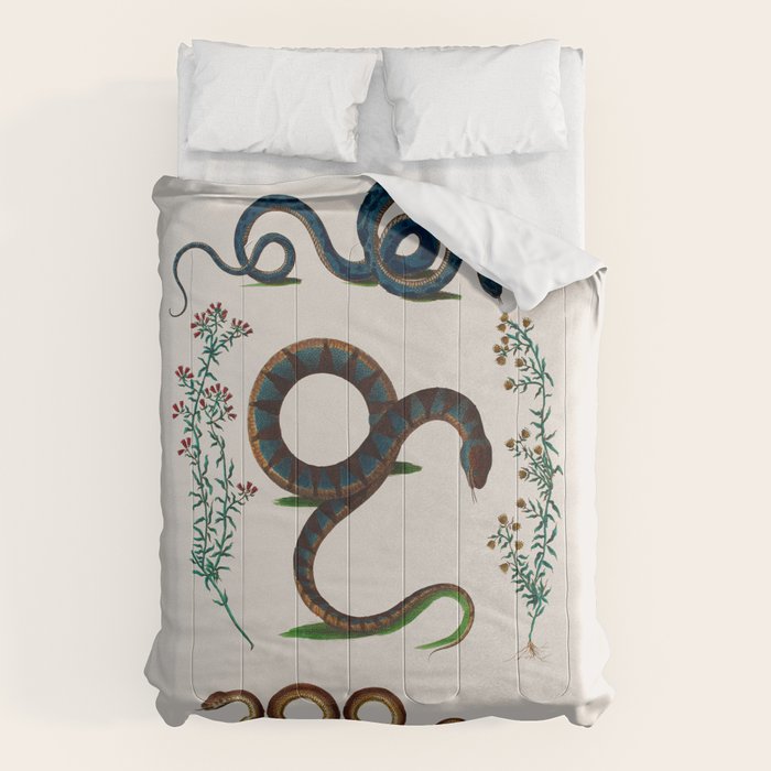 Albertus Seba Three Snakes And Floral Vines  Comforter Gallery Image 6