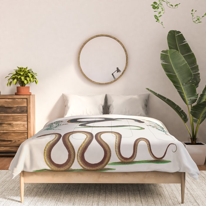 Albertus Seba Three Snakes And Floral Vines  Comforter Gallery Image 3