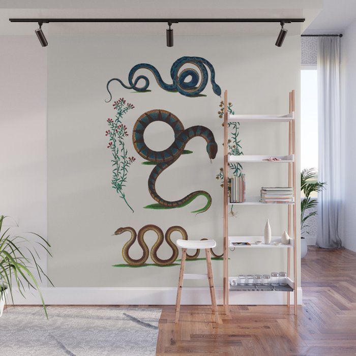 Albertus Seba Three Snakes And Floral Vines  Wall Mural Gallery Image 1