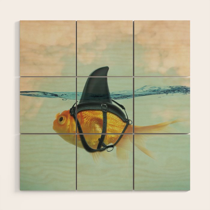 Brilliant DISGUISE - Goldfish with a Shark Fin Wood Wall Art Gallery Image 1