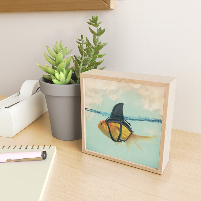Brilliant DISGUISE - Goldfish with a Shark Fin Mini Art Print Gallery Image 2