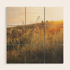 Golden - Beach vegetation at sunset - Botanic, nature and golden light Wood Wall Art Gallery Image 1