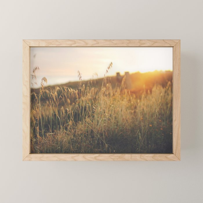 Golden - Beach vegetation at sunset - Botanic, nature and golden light Mini Art Print Gallery Image 1