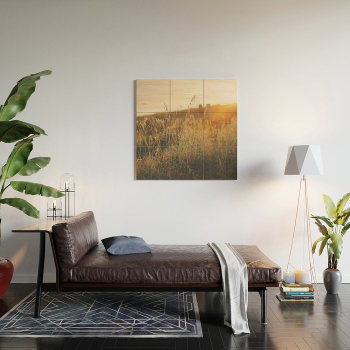 Golden - Beach vegetation at sunset - Botanic, nature and golden light Wood Wall Art Gallery Image 2