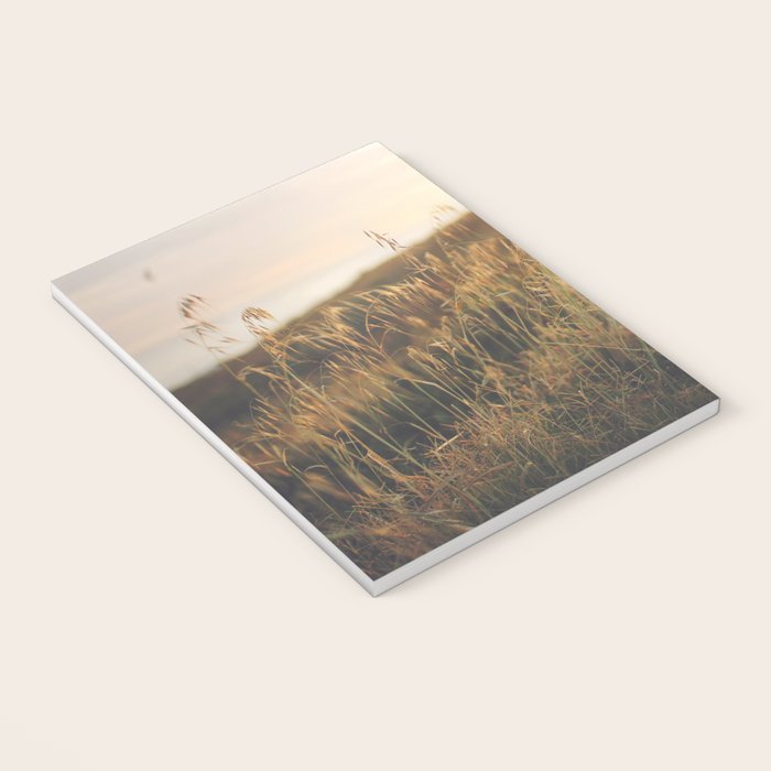 Golden - Beach vegetation at sunset - Botanic, nature and golden light Notebook Gallery Image 3