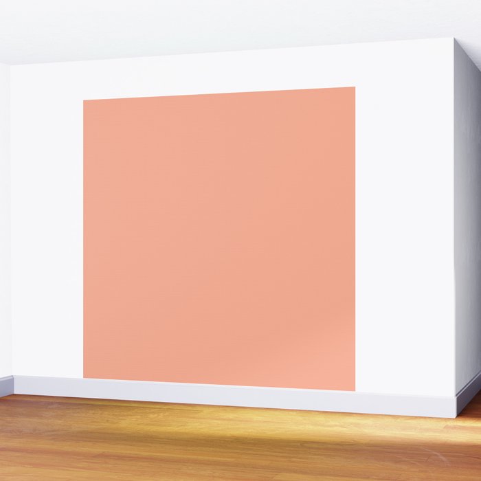 Simply Sweet Peach Coral Wall Mural Gallery Image 2