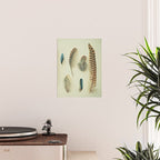 The Feather Collection Poster Gallery Image 2