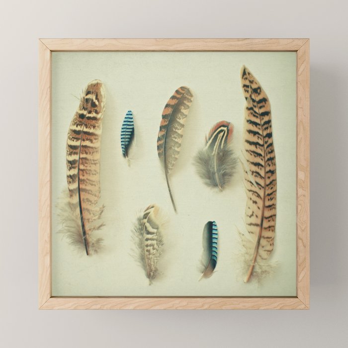 The Feather Collection Mini Art Print Gallery Image 1
