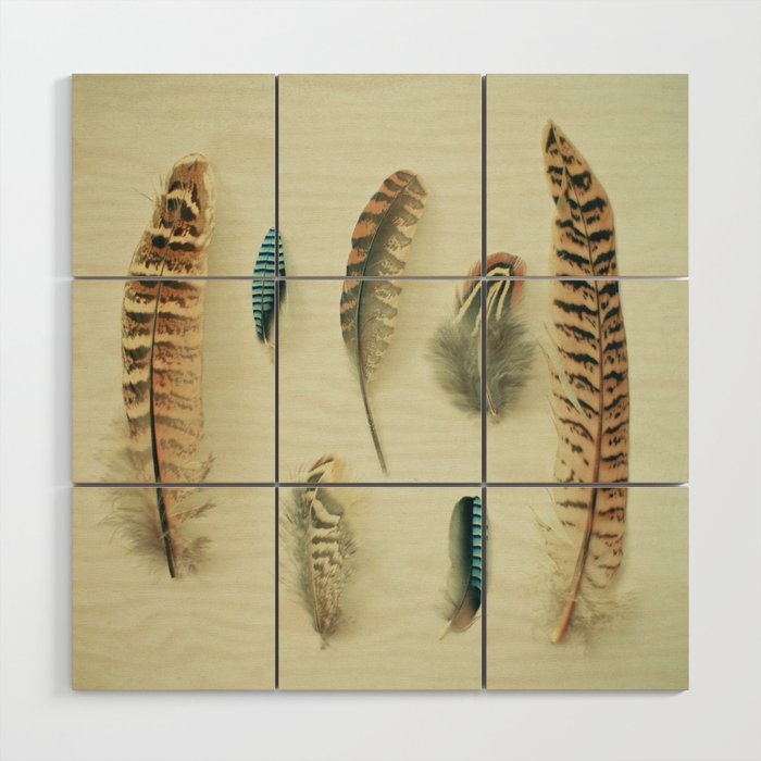 The Feather Collection Wood Wall Art Gallery Image 1