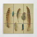 The Feather Collection Wood Wall Art Gallery Image 1
